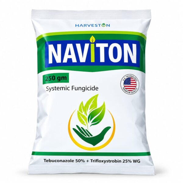 NAVITON